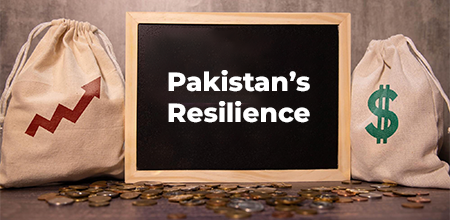 Resilient Pakistan: Lessons from Crises and the Road to Recovery