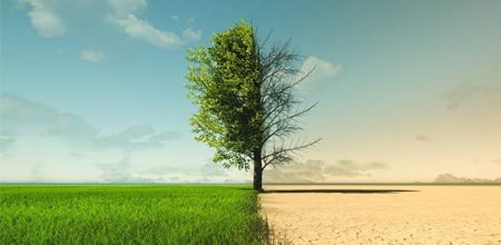From Innovation to Sustainability: How Smart Grids Are Powering Pakistan’s Climate-Resilient Future