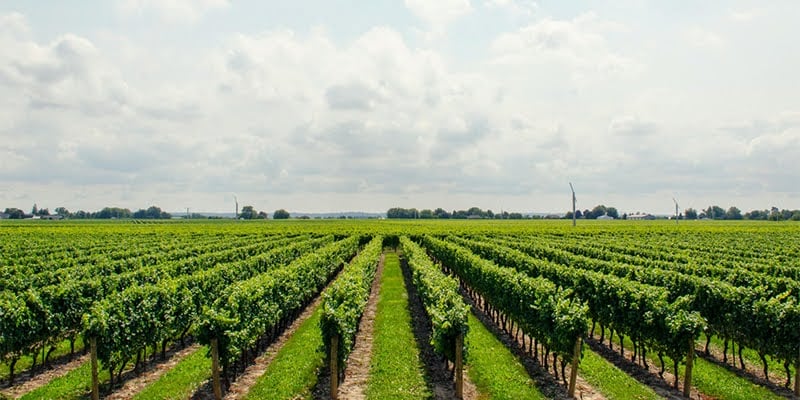 Climate-Smart Agriculture: Feeding Pakistan Sustainably in a Warming World