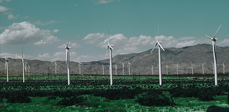 Greening the Future: Pakistan’s Path to Renewable Energy and Climate Innovation
